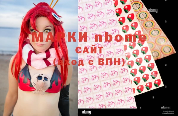 прущие грибы Алзамай
