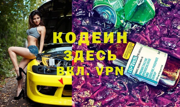 прущие грибы Алзамай