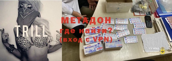 прущие грибы Алзамай