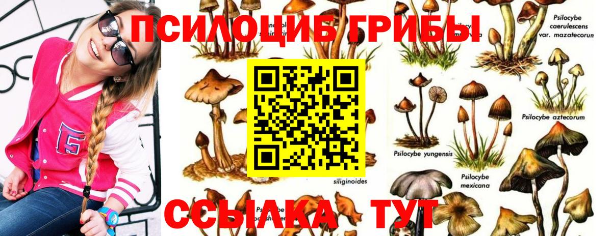 Уфа  Псилоцибиновые грибы Psilocybe  Вход с VPN  Псилоцибиновые грибы Cubensis 
